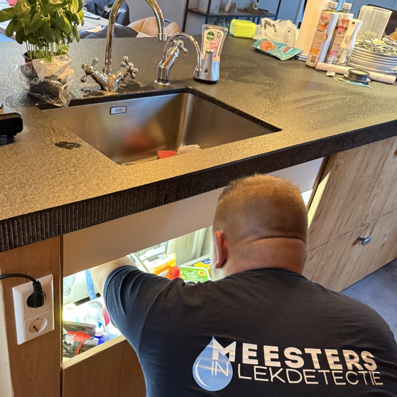 Meesters in Lekdetectie